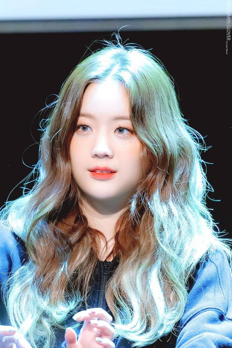 프로미스나인의 개죽이 장규리.jpg | 인스티즈