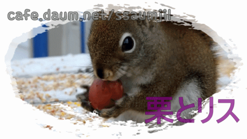 중고로운 평화나라(feat. 환불) | 인스티즈