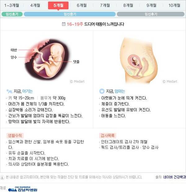 10달동안 무슨 변화가 일어나는걸까?: 임신 알아보기 | 인스티즈