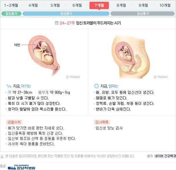 10달동안 무슨 변화가 일어나는걸까?: 임신 알아보기 | 인스티즈