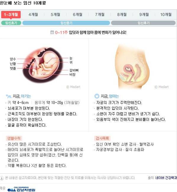 10달동안 무슨 변화가 일어나는걸까?: 임신 알아보기 | 인스티즈