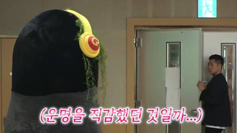 펭수가 떠야하는 이유 | 인스티즈