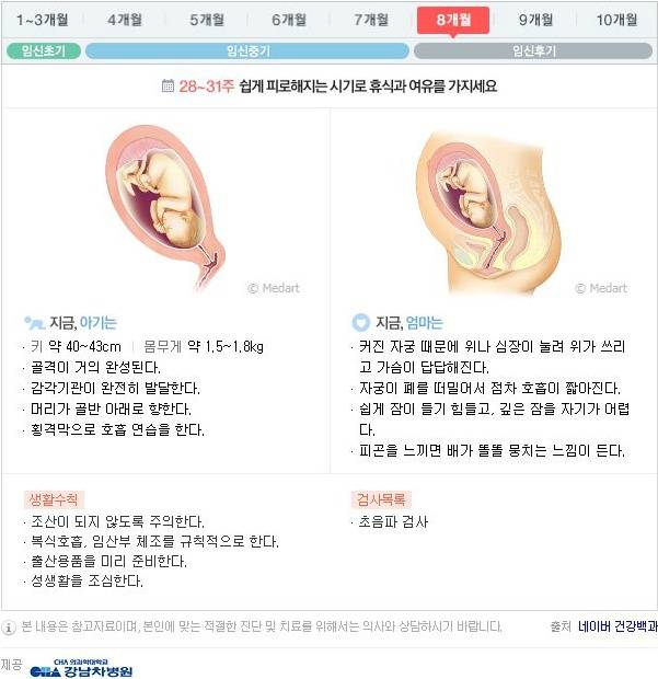 10달동안 무슨 변화가 일어나는걸까?: 임신 알아보기 | 인스티즈