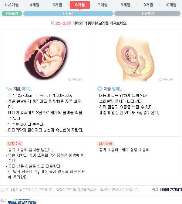 10달동안 무슨 변화가 일어나는걸까?: 임신 알아보기 | 인스티즈