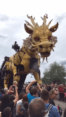 실제로 보면 지린다는 프랑스 퍼레이드.gif | 인스티즈