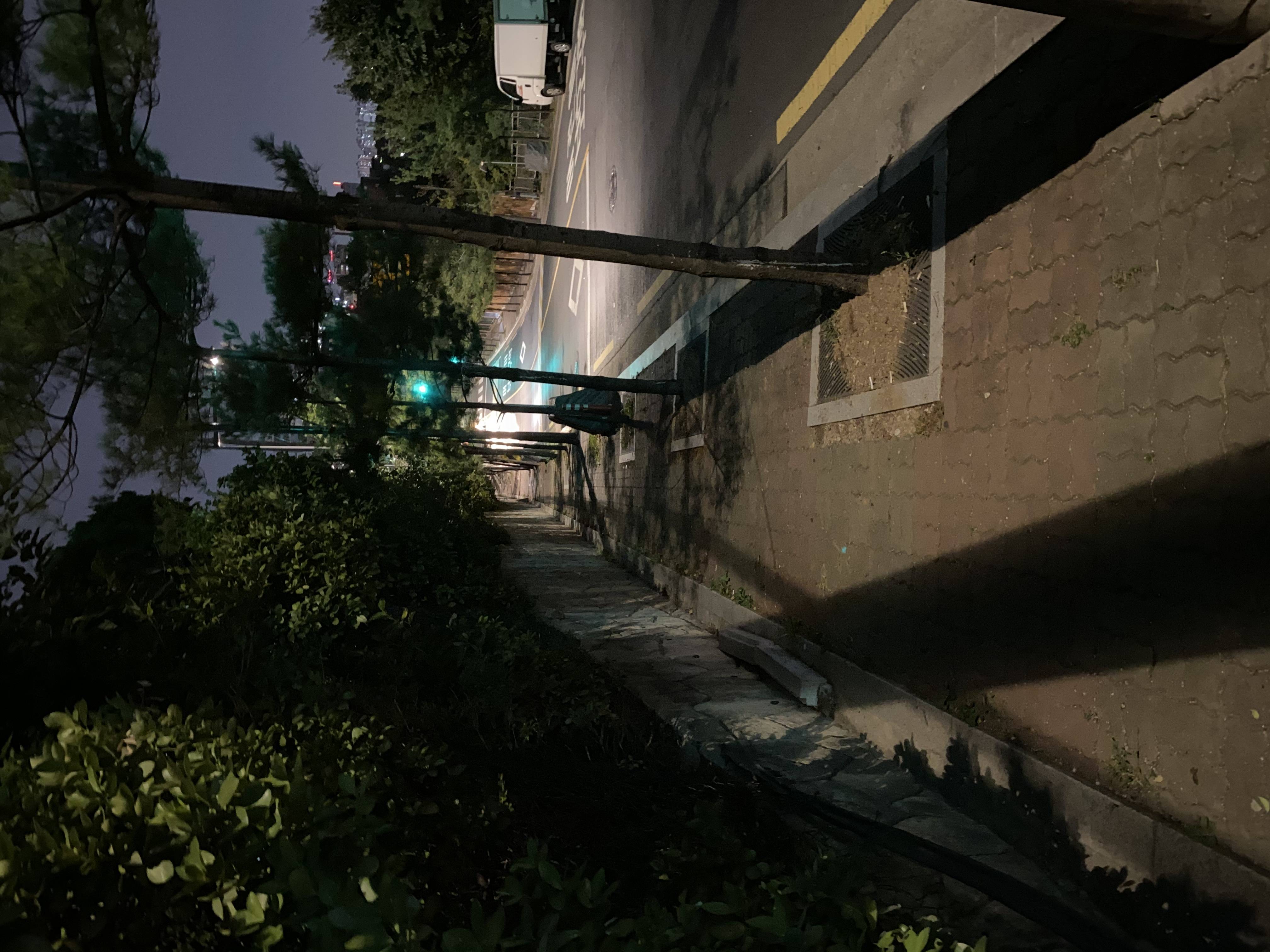 아이폰 11 나이트모드샷 | 인스티즈