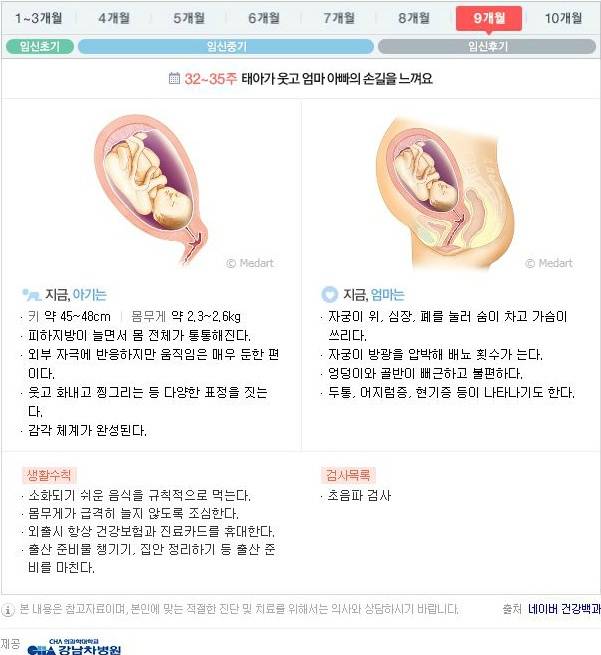 10달동안 무슨 변화가 일어나는걸까?: 임신 알아보기 | 인스티즈