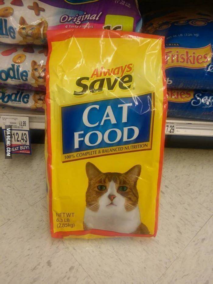 맛없는 고양이 사료 | 인스티즈