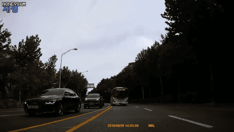 당당한 버스기사 | 인스티즈