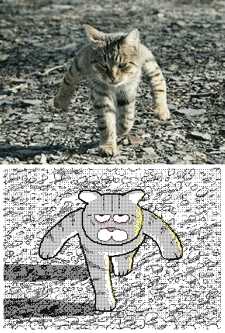 동물을 모델로 짤방을 만드는 작가.....GIF | 인스티즈