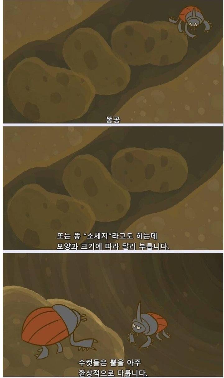 스압) 지구는 왜 똥으로 뒤덮이지 않는 걸까?.jpg | 인스티즈