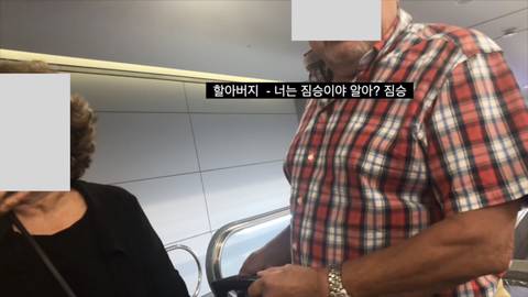 기내에서 독일 노인부부에게 인종차별당한 유튜버 여락이들 (혈압주의) | 인스티즈