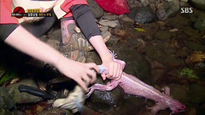 도마뱀 가죽 벗기는 여자 아이돌.jpg | 인스티즈