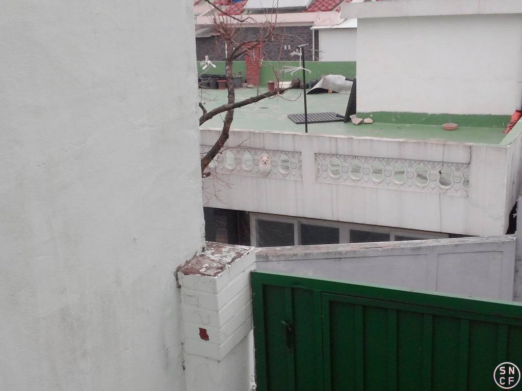 어디선가 느껴지는 당신의 시선..jpg | 인스티즈