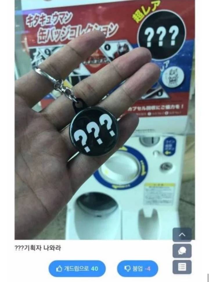 정직한 일본의 랜덤뽑기.jpg | 인스티즈