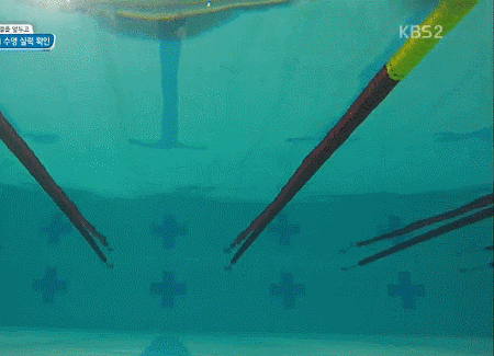 유전자가 참 좋아 보이는 걸그룹 멤버 | 인스티즈