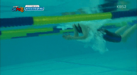 유전자가 참 좋아 보이는 걸그룹 멤버 | 인스티즈