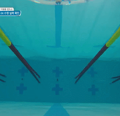 유전자가 참 좋아 보이는 걸그룹 멤버 | 인스티즈