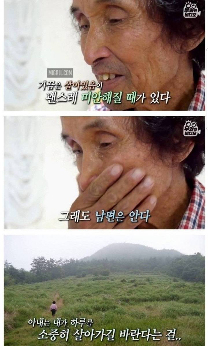 스압) 할아버지의 무덤 로맨스.jpg | 인스티즈