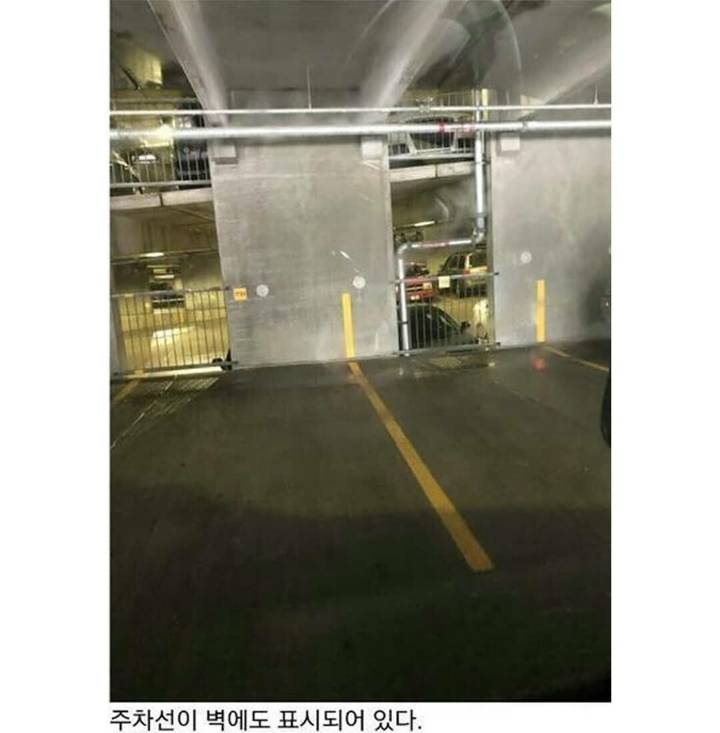 생활속 아이디어 상품들.jpg | 인스티즈