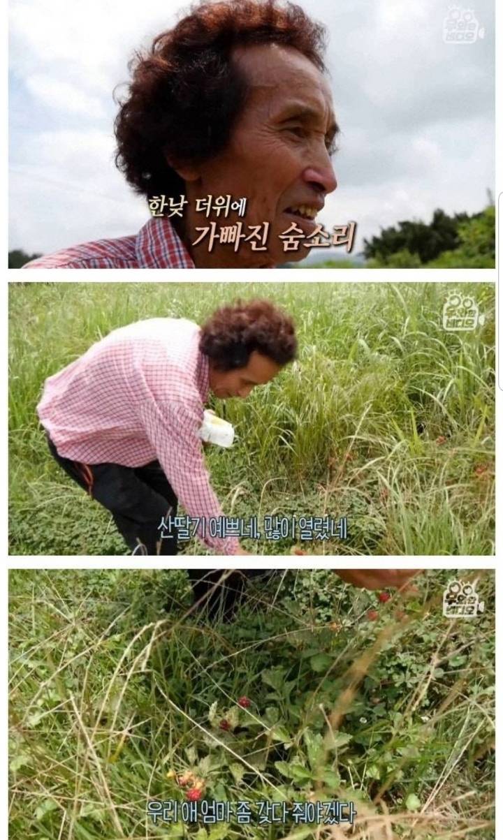 스압) 할아버지의 무덤 로맨스.jpg | 인스티즈