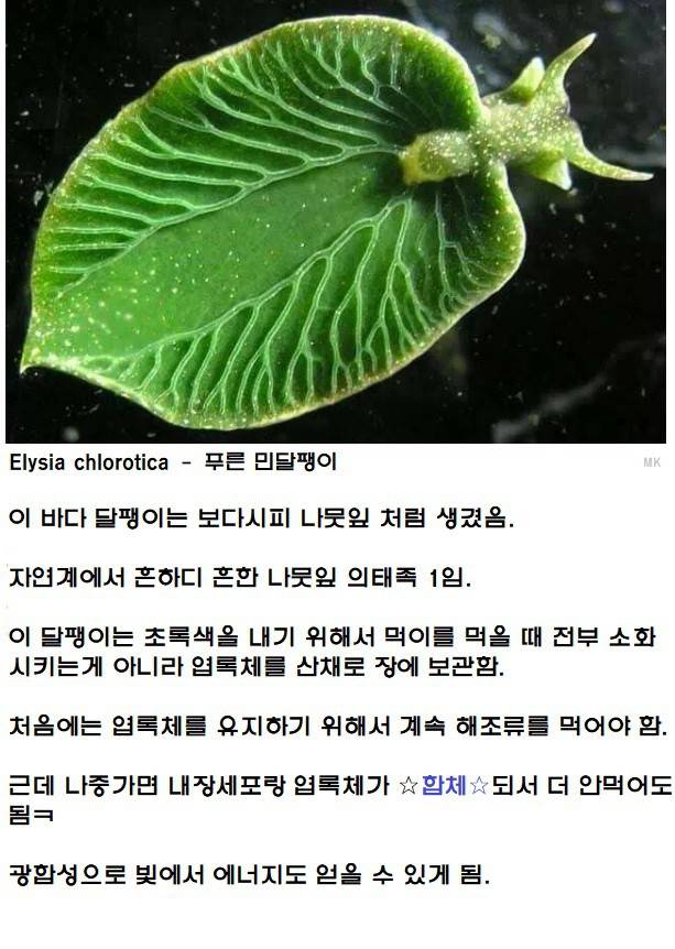 연기를 하다보니 진짜가 됨 | 인스티즈
