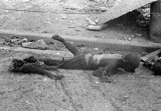 도쿄 대공습. jpg (혐오주의) | 인스티즈