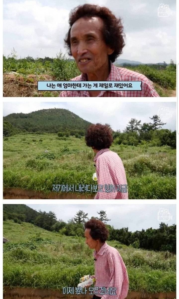 스압) 할아버지의 무덤 로맨스.jpg | 인스티즈