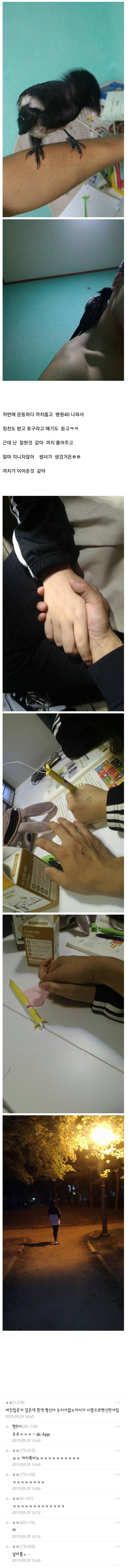 까치 구해주고 여친 생긴 썰.jpg | 인스티즈