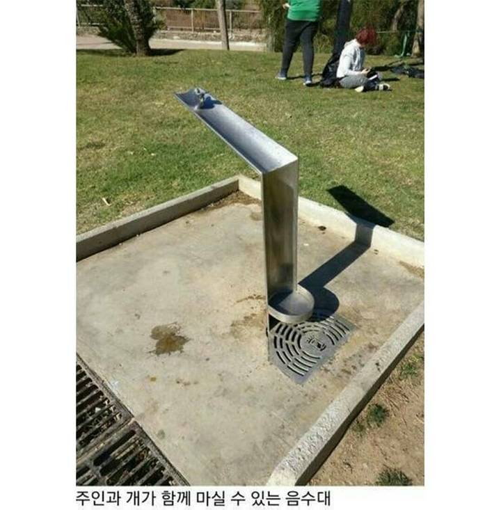 생활속 아이디어 상품들.jpg | 인스티즈