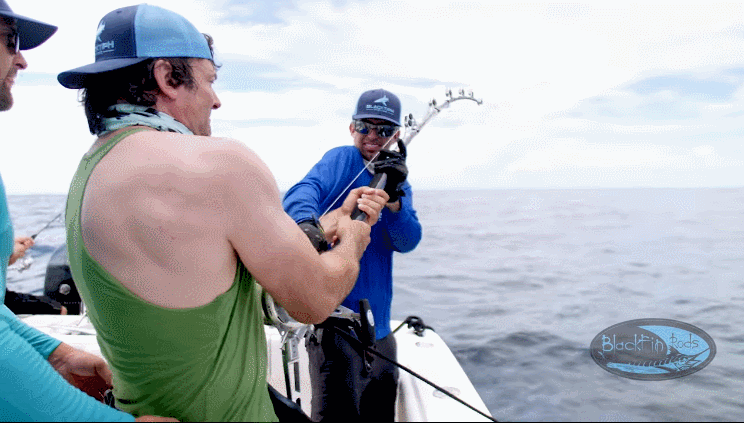 낚시계의 최상위 물고기 | 인스티즈