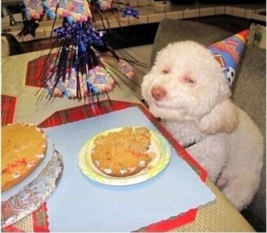 술집 알바하면서 느낀 한국인의 정 | 인스티즈