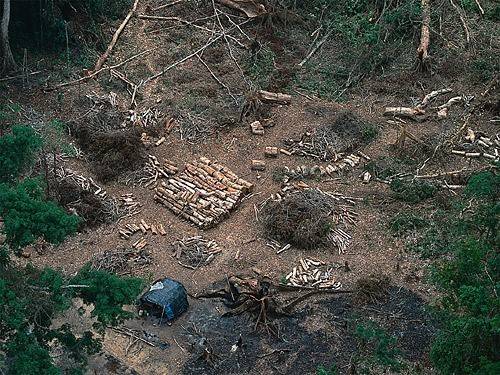 나폴레옹 시대 전후의 에너지 혁명 | 인스티즈