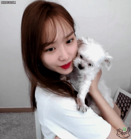 댕댕이와 나미춘 | 인스티즈