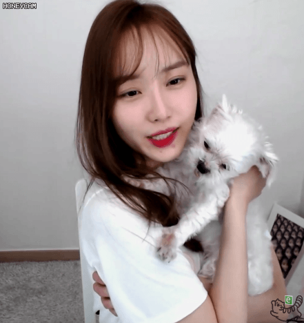 댕댕이와 나미춘 | 인스티즈