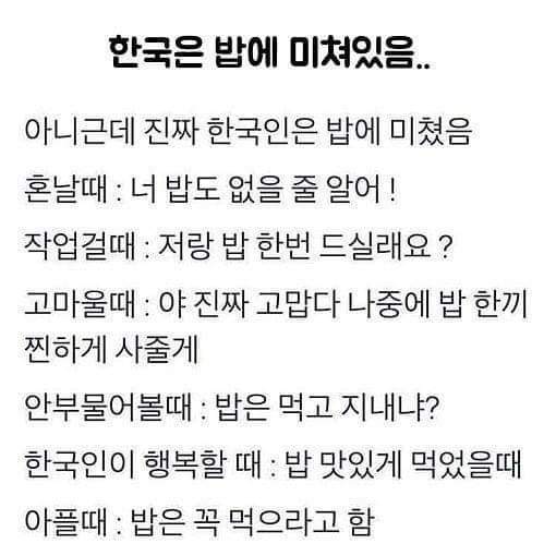 한국인은 밥의민족 | 인스티즈