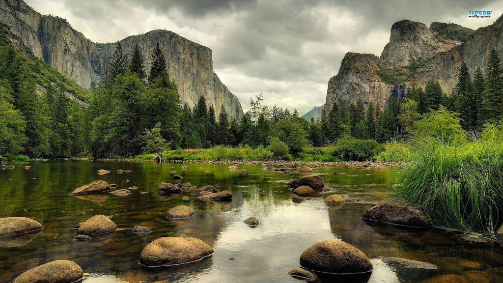 요세미티 국립공원 Yosemite National Park | 인스티즈
