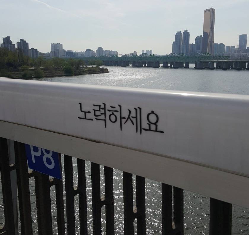 자살방지문구가 더 하라고 재촉하는것 같네요.jpg | 인스티즈