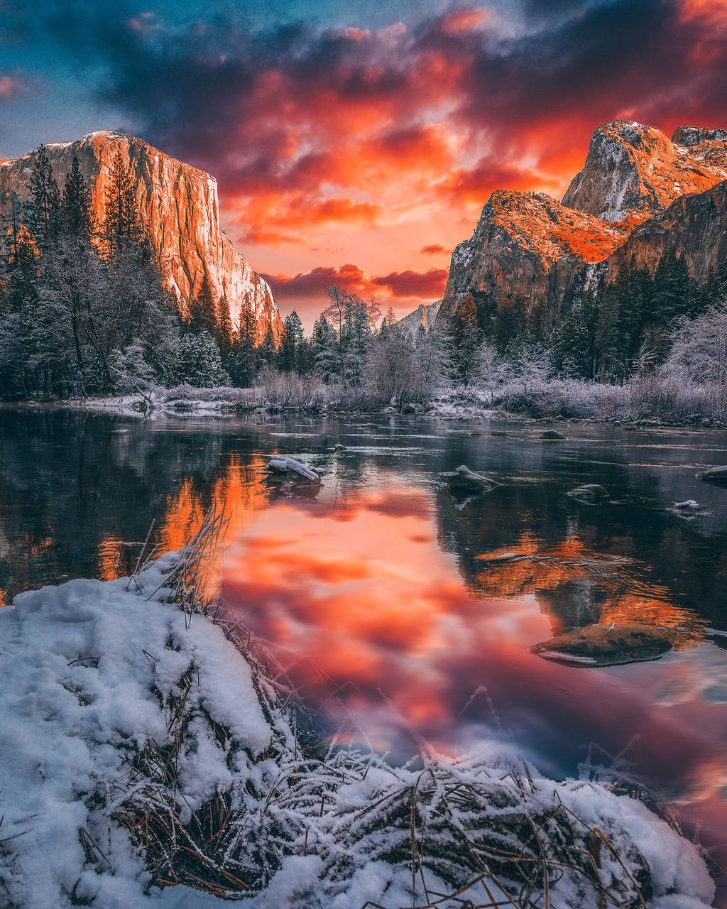 요세미티 국립공원 Yosemite National Park | 인스티즈