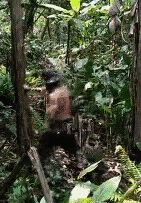 마인크래프트 1일차 | 인스티즈