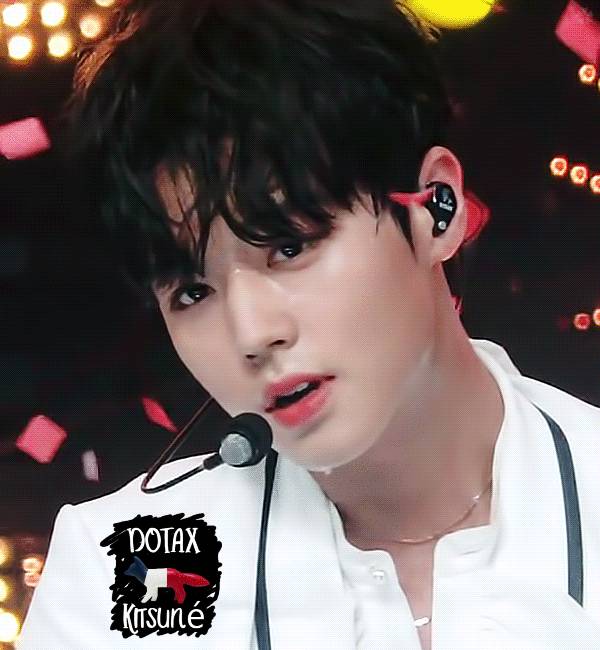 이거 고양이 아닐지도몰라 | 인스티즈