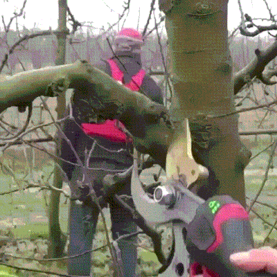 나뭇가지 자르는 가위.gif | 인스티즈