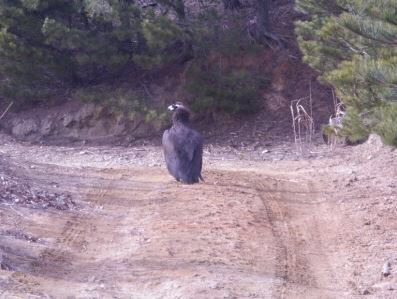 장동민이 말하는 최전방 군생활자 공감.jpg | 인스티즈