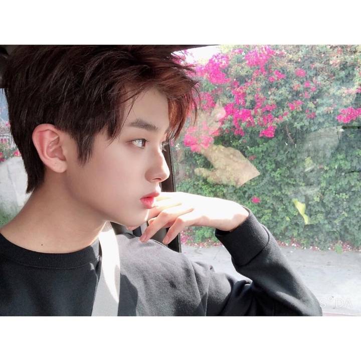 한국 돼지고기 소비량...jpg | 인스티즈