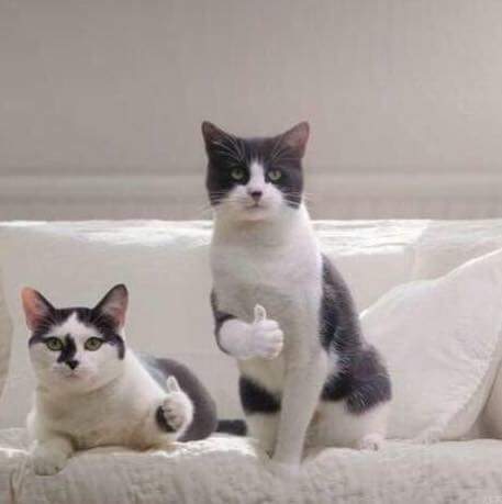 연예인들이 끼가 많아야 하는 이유 | 인스티즈