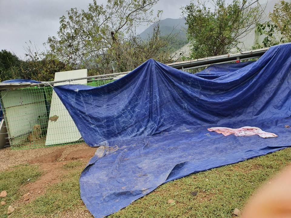 비영리 단체이자 안락사 없는 유기견 사설 보호소(쉼터) 입니다. 많은 관심 부탁드립니다.ㅠㅠ (경남 사천/삼천포/진주) | 인스티즈