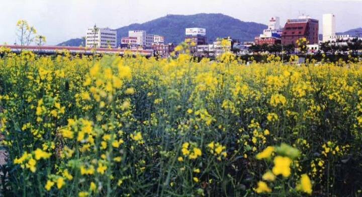 충청북도 청주시의 옛 모습.jpg | 인스티즈