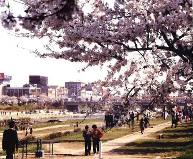 충청북도 청주시의 옛 모습.jpg | 인스티즈