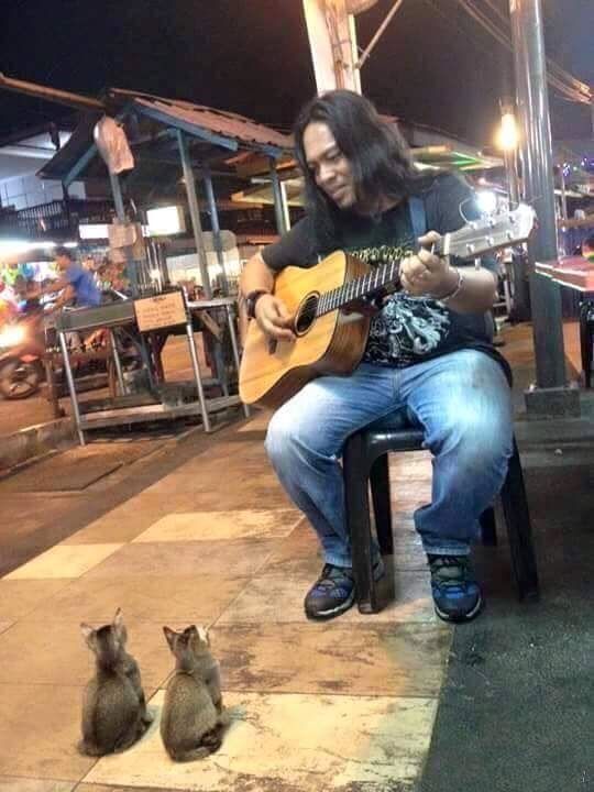 연주를 멈출 수 없다 | 인스티즈