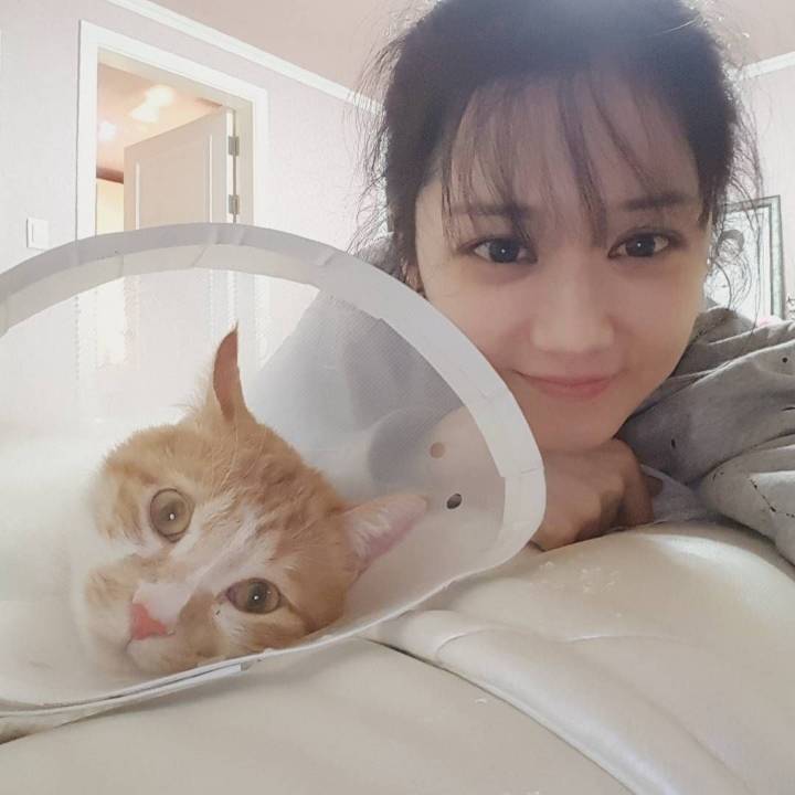 대한민국 연예인 원탑.jpg | 인스티즈